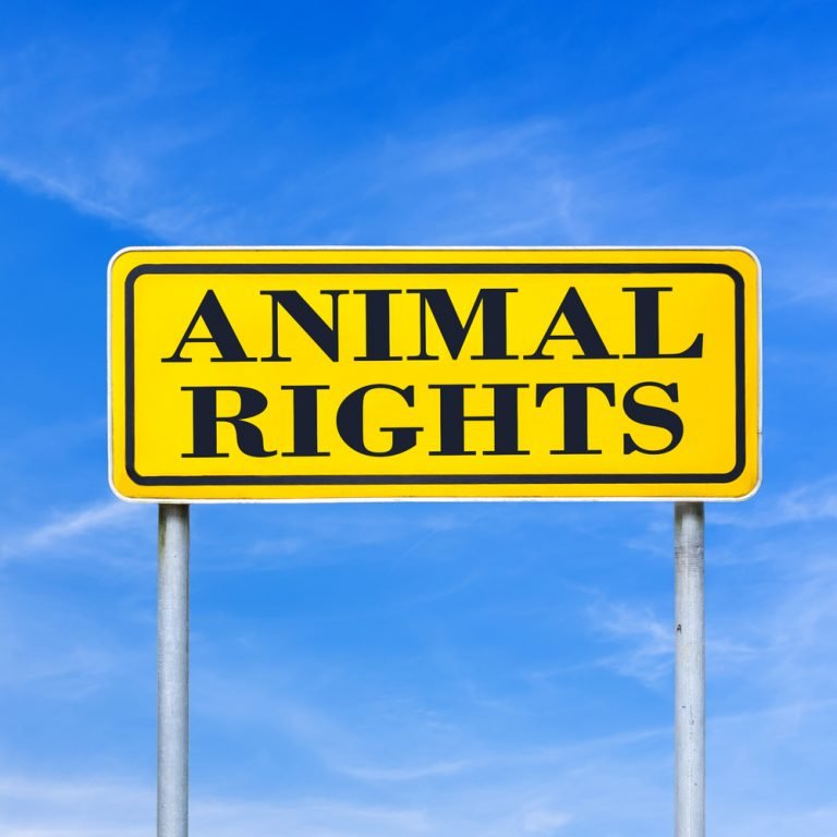 conference-on-animal-rights-in-europe-care-2022-infovege